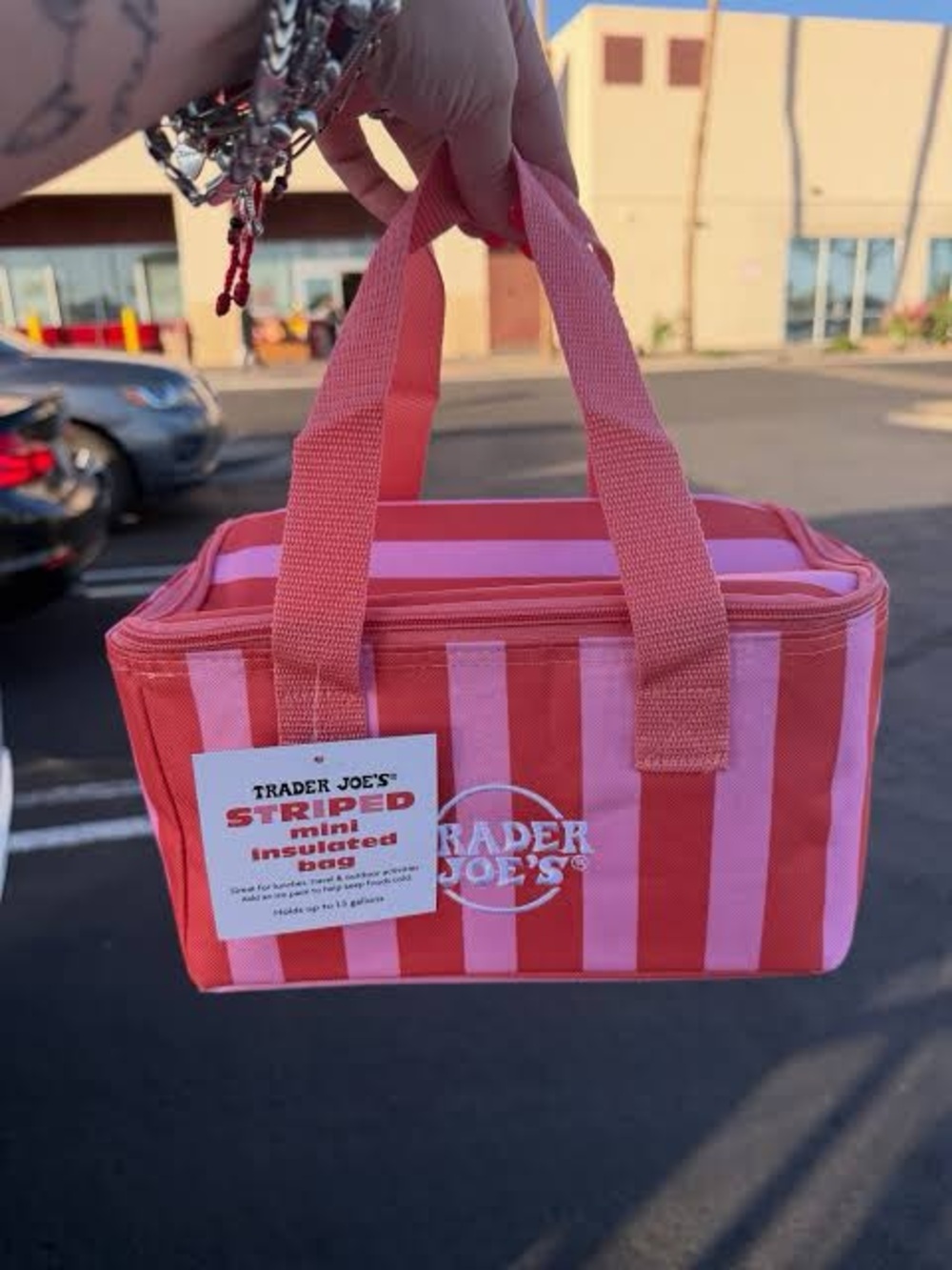 Pink Striped Mini Insulated Bag